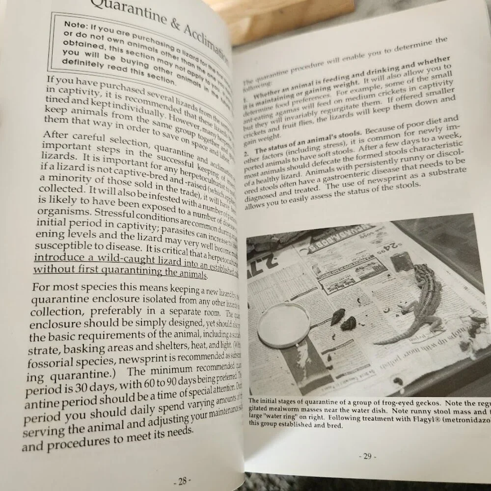 Lizard Keeper's Handbook Book Philippe de Vosjoli 9781882770250 Reptile Caretaki